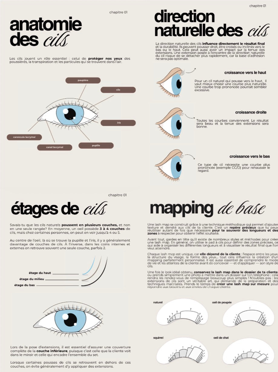 Formation débutante — L’expérience lash artist
